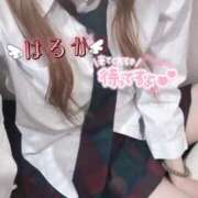 ヒメ日記 2025/11/12 16:06 投稿 はるか ビデオdeはんど　上大岡校