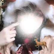 ヒメ日記 2025/12/11 16:06 投稿 はるか ビデオdeはんど　上大岡校