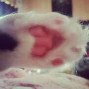 ヒメ日記 2025/10/29 11:18 投稿 みつき 池袋人妻城