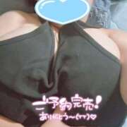 ヒメ日記 2025/10/12 14:03 投稿 うみ ぽちゃSPA