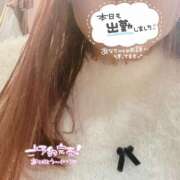 ヒメ日記 2025/10/22 15:01 投稿 うみ ぽちゃSPA