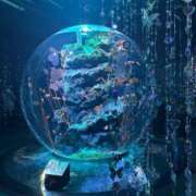 ヒメ日記 2025/11/01 19:02 投稿 うみ ぽちゃSPA