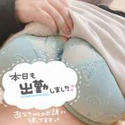 ヒメ日記 2025/12/11 15:01 投稿 うみ ぽちゃSPA