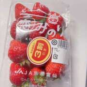 ヒメ日記 2026/01/17 13:30 投稿 うみ ぽちゃSPA