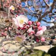 ヒメ日記 2026/02/23 20:02 投稿 うみ ぽちゃSPA