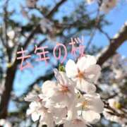 ヒメ日記 2026/03/27 16:13 投稿 うみ ぽちゃSPA