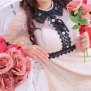 ヒメ日記 2025/10/28 11:00 投稿 春名葵 ニューティアラ