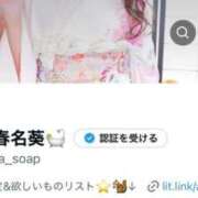 春名葵 🎀🆕Xアカウント🎀 ニューティアラ