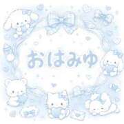 ヒメ日記 2026/08/23 08:31 投稿 みゆ ぷるるん小町 京橋店