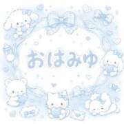 ヒメ日記 2026/09/09 08:30 投稿 みゆ ぷるるん小町 京橋店