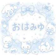 ヒメ日記 2026/09/19 08:31 投稿 みゆ ぷるるん小町 京橋店