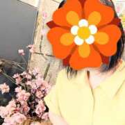 ヒメ日記 2026/06/07 17:44 投稿 すずか 熟女家 豊中蛍池店