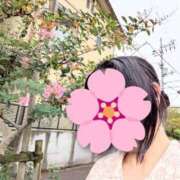 ヒメ日記 2026/06/13 08:31 投稿 すずか 熟女家 豊中蛍池店