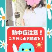 ヒメ日記 2026/06/13 10:31 投稿 すずか 熟女家 豊中蛍池店