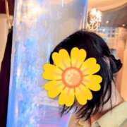ヒメ日記 2026/06/13 14:48 投稿 すずか 熟女家 豊中蛍池店