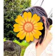 ヒメ日記 2026/07/30 07:37 投稿 すずか 熟女家 豊中蛍池店