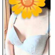 ヒメ日記 2026/08/11 09:37 投稿 すずか 熟女家 豊中蛍池店