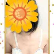 ヒメ日記 2026/08/23 08:10 投稿 すずか 熟女家 豊中蛍池店
