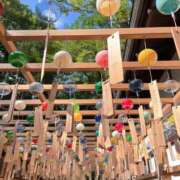ヒメ日記 2026/08/14 15:13 投稿 あやか 千葉中央人妻援護会