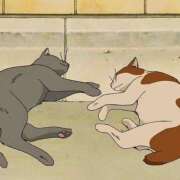 ヒメ日記 2025/10/04 17:02 投稿 ましろ エスッテ×エスッテ