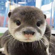 ヒメ日記 2025/10/17 14:40 投稿 ましろ エスッテ×エスッテ