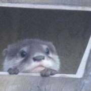 ヒメ日記 2025/11/05 14:36 投稿 ましろ エスッテ×エスッテ