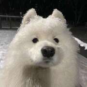 ヒメ日記 2025/11/14 15:30 投稿 ましろ エスッテ×エスッテ