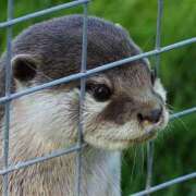 ヒメ日記 2026/03/06 00:02 投稿 ましろ エスッテ×エスッテ