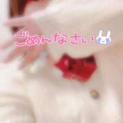 さな すみません💧 岐阜美濃加茂・可児ちゃんこ