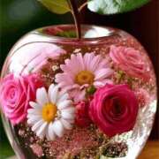 ヒメ日記 2025/11/17 12:19 投稿 しずく 岐阜美濃加茂・可児ちゃんこ