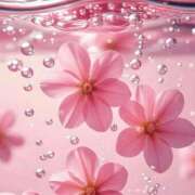 ヒメ日記 2025/11/18 14:59 投稿 しずく 岐阜美濃加茂・可児ちゃんこ