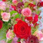 ヒメ日記 2025/11/19 19:39 投稿 しずく 岐阜美濃加茂・可児ちゃんこ