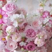 ヒメ日記 2025/11/20 09:39 投稿 しずく 岐阜美濃加茂・可児ちゃんこ