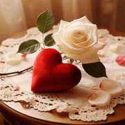 ヒメ日記 2025/11/25 11:29 投稿 しずく 岐阜美濃加茂・可児ちゃんこ