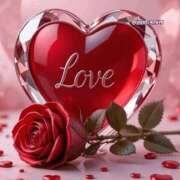 ヒメ日記 2025/11/26 16:19 投稿 しずく 岐阜美濃加茂・可児ちゃんこ