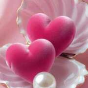 しずく こんにちは！ 岐阜美濃加茂・可児ちゃんこ