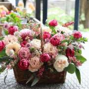 しずく こんにちは！ 岐阜美濃加茂・可児ちゃんこ