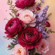 しずく こんにちは！ 岐阜美濃加茂・可児ちゃんこ