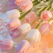 ヒメ日記 2025/12/12 11:49 投稿 しずく 岐阜美濃加茂・可児ちゃんこ