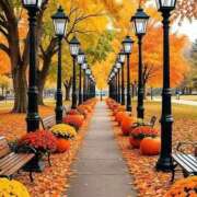 ヒメ日記 2025/12/14 15:09 投稿 しずく 岐阜美濃加茂・可児ちゃんこ