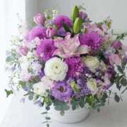 ヒメ日記 2025/12/24 15:09 投稿 しずく 岐阜美濃加茂・可児ちゃんこ