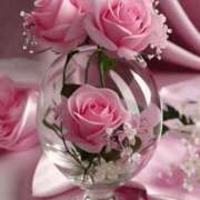 ヒメ日記 2025/12/29 11:09 投稿 しずく 岐阜美濃加茂・可児ちゃんこ