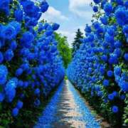 ヒメ日記 2026/01/08 14:49 投稿 しずく 岐阜美濃加茂・可児ちゃんこ