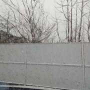 ヒメ日記 2026/01/11 14:29 投稿 しずく 岐阜美濃加茂・可児ちゃんこ