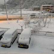 ヒメ日記 2026/01/12 06:59 投稿 しずく 岐阜美濃加茂・可児ちゃんこ