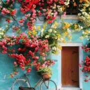 ヒメ日記 2026/01/16 08:49 投稿 しずく 岐阜美濃加茂・可児ちゃんこ