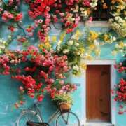 ヒメ日記 2026/01/16 12:09 投稿 しずく 岐阜美濃加茂・可児ちゃんこ