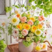 ヒメ日記 2026/01/17 11:59 投稿 しずく 岐阜美濃加茂・可児ちゃんこ