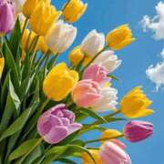 ヒメ日記 2026/01/22 12:42 投稿 しずく 岐阜美濃加茂・可児ちゃんこ