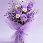 ヒメ日記 2026/01/24 11:29 投稿 しずく 岐阜美濃加茂・可児ちゃんこ